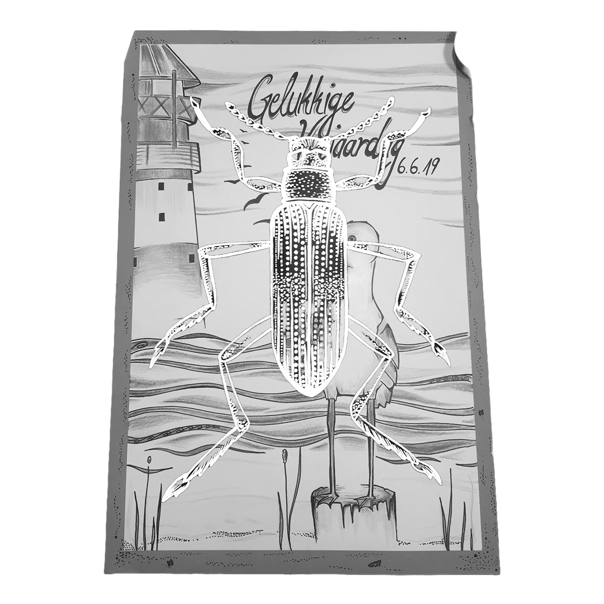 Antonia Mielke Grafik Design