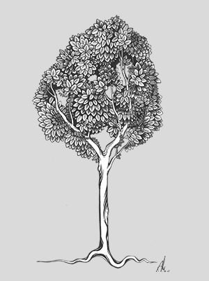 Antonia Mielke Grafik Design