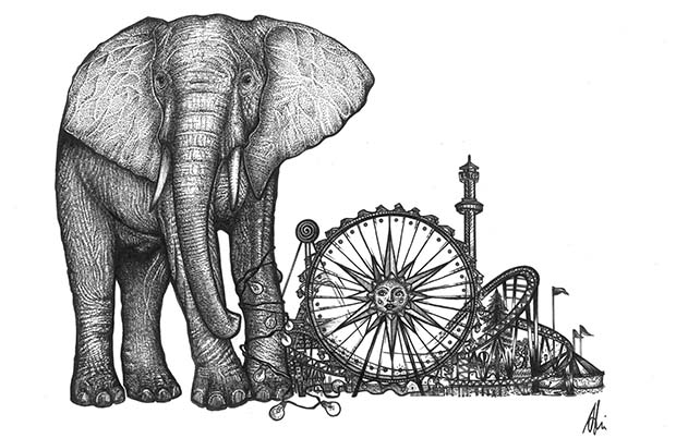 Illustrationen und Design